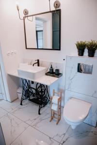 SkorzennoAgroturystyka u Marleny的一间带水槽、卫生间和镜子的浴室