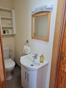 恩尼斯Charming 1-Bed Apartment in Barefield的一间带水槽、卫生间和镜子的浴室