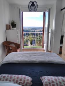 布鲁瓦LA SALAMANDRE的一间卧室设有一张大床和大窗户