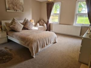诺丁汉Rainworth Lodge的一间卧室设有一张床和两个窗户。