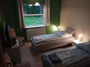 福旺Annex88 B&B的绿色的客房设有两张床和窗户。