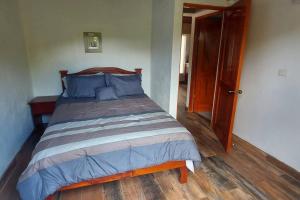 HigueronalJuliet's Coffee House的一间卧室配有一张带蓝色枕头的大床