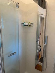 米兰San Siro Design Apartment的浴室里设有玻璃门淋浴