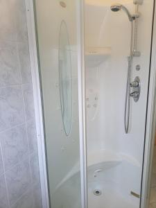 博洛尼亚BOLOGNA QUARTIERE SAVENA - APPARTAMENTO DI STEFANO的浴室里设有玻璃门淋浴