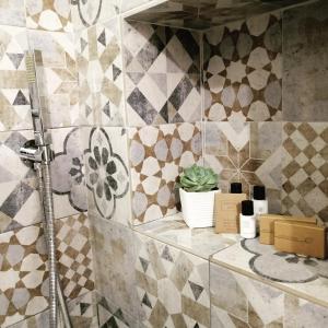莱万托Casello68的浴室设有瓷砖墙,在柜台上种植植物