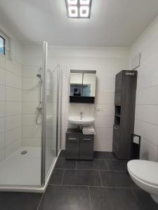 巴德克洛斯特尔劳斯尼茨Ferienwohnung Holzland的一间带水槽、淋浴和卫生间的浴室