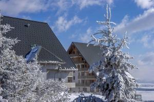 贝斯和圣阿纳斯泰斯Appartement 2 pièces, les Chalets de Super-Besse的建筑物前的雪覆盖的树