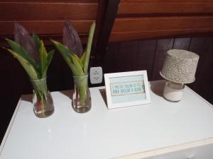 卡纳内亚Chalé Da Bia的两瓶花花和一张桌子上的画