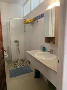 皮特尔角城RETE ZEN GUESTHOUSE的一间带水槽和玻璃淋浴的浴室