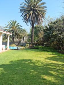伯诺尼Victorian Villa Westdene Benoni的棕榈树庭院和游泳池