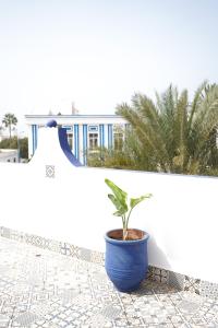 西迪伊夫尼El MOJA SURFHOUSE的坐在瓷砖地板上,在蓝色锅子里的植物