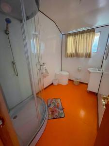 普诺Vip Flotante的带淋浴和卫生间的小浴室