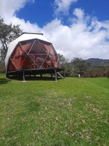 瓜塔维塔Glamping Mi Casita的田野中间的帐篷