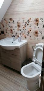 莱斯诺夫Casa Diana Rasnov的浴室设有水槽,墙上挂有鲜花的卫生间