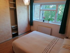 Beautiful double bedroom in shared flat near Olympic Park in Stratford London平面图