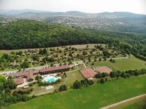布达佩斯Petneházy Aparthotel的享有带游泳池和树木的豪宅的空中景致