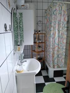 莱斯科瓦茨Fina Apartment的一间带水槽和淋浴帘的浴室