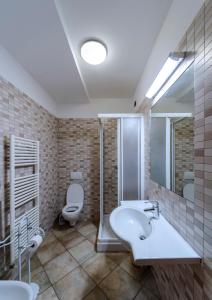 圣贝内代托-德尔特龙托Residence Dolcemare的一间带水槽、卫生间和镜子的浴室