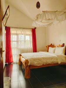 奈瓦沙Merinja Guest House的一间卧室配有一张带红色窗帘的大床