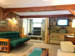 Oliverea斯莱德山森林之家度假村的客厅配有绿色沙发和电视