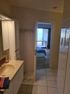 布兰肯贝赫luxurious apartment with sea view的一间带水槽、淋浴和镜子的浴室
