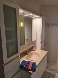 布兰肯贝赫luxurious apartment with sea view的一间带水槽和镜子的浴室