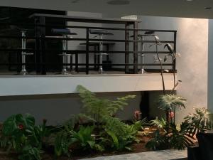 马尼萨莱斯Apartahotel La Arboleda HC的客房设有带椅子和植物的阳台。