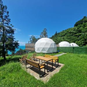 萨尔皮Glamping Village的草场上的野餐桌和长椅