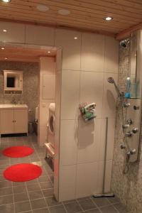 基尔匹斯扎我维Kelo Aurora luxury cabin的带淋浴和盥洗盆的浴室