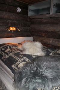 基尔匹斯扎我维Kelo Aurora luxury cabin的两只狗躺在房间里的床边