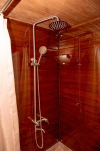 萨尔皮Glamping Village的带淋浴的浴室,浴室设有红色的墙壁