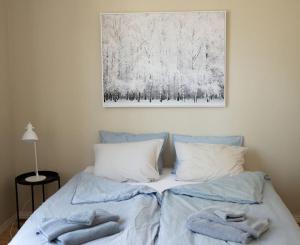 腓特烈斯塔Large, quiet and centrally located apartment的一间卧室配有带毛巾的床