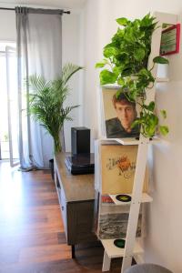罗马优福诺维荫友好公寓的书架上摆放着植物的书桌