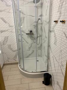 格沃古夫Szmaragdowy Zakątek的浴室里设有玻璃门淋浴