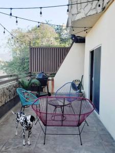 蒙特雷Hospedaje con vista a la ciudad的一只狗站在带椅子和桌子的庭院