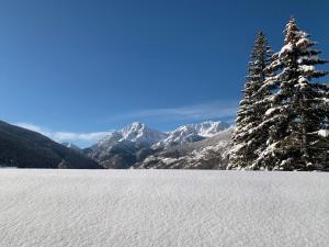 萨奥兹-杜尔克斯Appartamenti & Wellness Piero Gros的山坡上有雪覆盖,有树和山