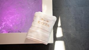 佩皮尼昂Ennéa - Jacuzzi & Luxury Suites的上面写着癌症的白袜