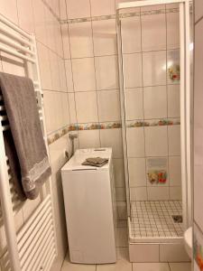 维桑堡Studio le pied de Bœuf的白色的浴室设有小冰箱和淋浴。