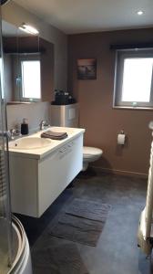 马尔梅迪Terrasses de Malmedy - Duplex 455的一间带水槽和卫生间的浴室