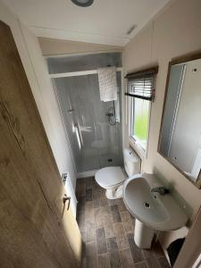Newquay Bay ResortNewquay Bay Resort - Summer Days 135的一间带水槽、卫生间和淋浴的浴室