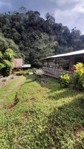 ArchidonaPlaya Selva Lodge的前面有一片草的建筑