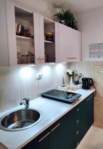博德森特克Apartments & rooms Saša的一个带水槽和绿色橱柜的厨房