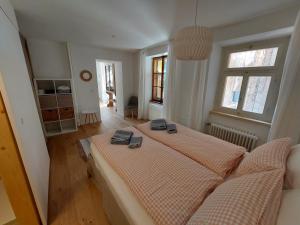 RonaHaus La Punt, Savognin的一间大型卧室,配有两张床和两个窗户
