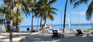 圣佩德罗加勒比别墅酒店的棕榈树和椅子的海滩和小船