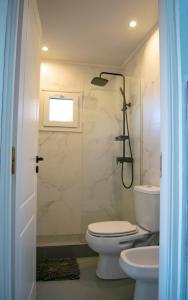 圣卡洛斯-德巴里洛切V&P Apt的带淋浴、卫生间和盥洗盆的浴室