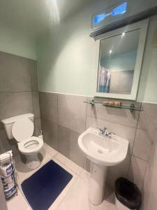 Buccoo米勒旅馆的一间带卫生间、水槽和镜子的浴室