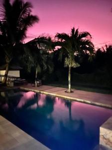 波拉波拉Bora Bora Fare Sophia的一座棕榈树和紫色天空的游泳池