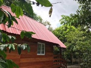 Hospedaje En El Lago…的一间设有红色屋顶的小木屋
