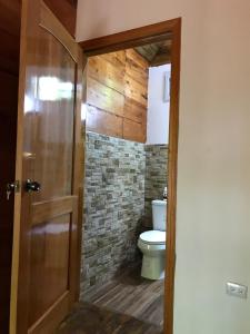Hospedaje En El Lago…的一间带卫生间和木门的浴室