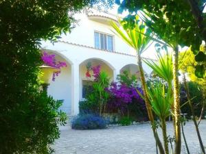 托雷桑塔萨宾娜B&B Santa Sabina的白色房子前面有紫色的花